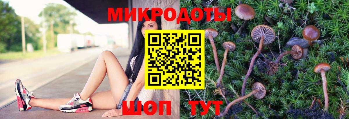 Псилоцибиновые грибы ЛСД Кстово